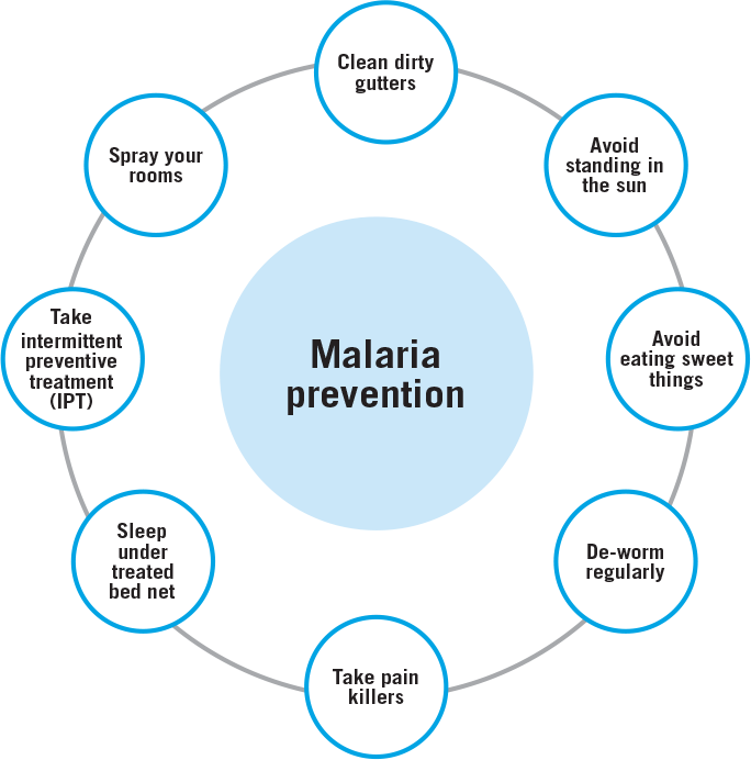 Diagram to describe reported methods of preventing malaria